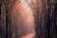 开云体育官网-法国网球队绝杀美国网球队，西西帕斯统治全场：那一刻的震撼与荣耀