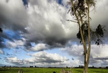 开云体育官网-西班牙网队耀眼逆袭：瓦林卡一人奋战彰显球队精神